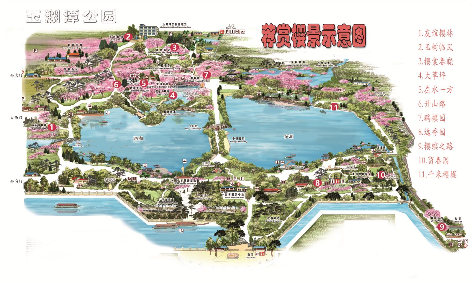 樱花景点.jpg
