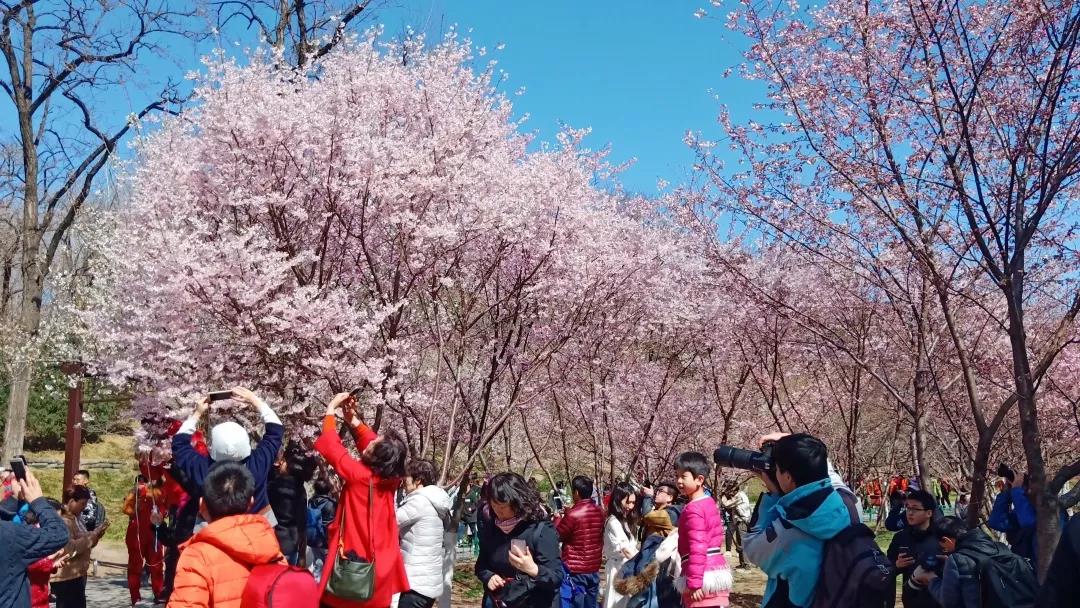 微信图片_20190322133725.jpg 微信图片_20190322133725.jpg