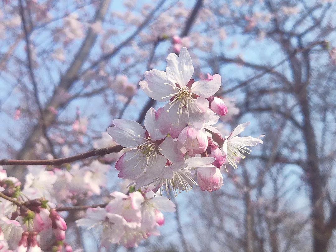微信图片_20190322133640.jpg 微信图片_20190322133640.jpg