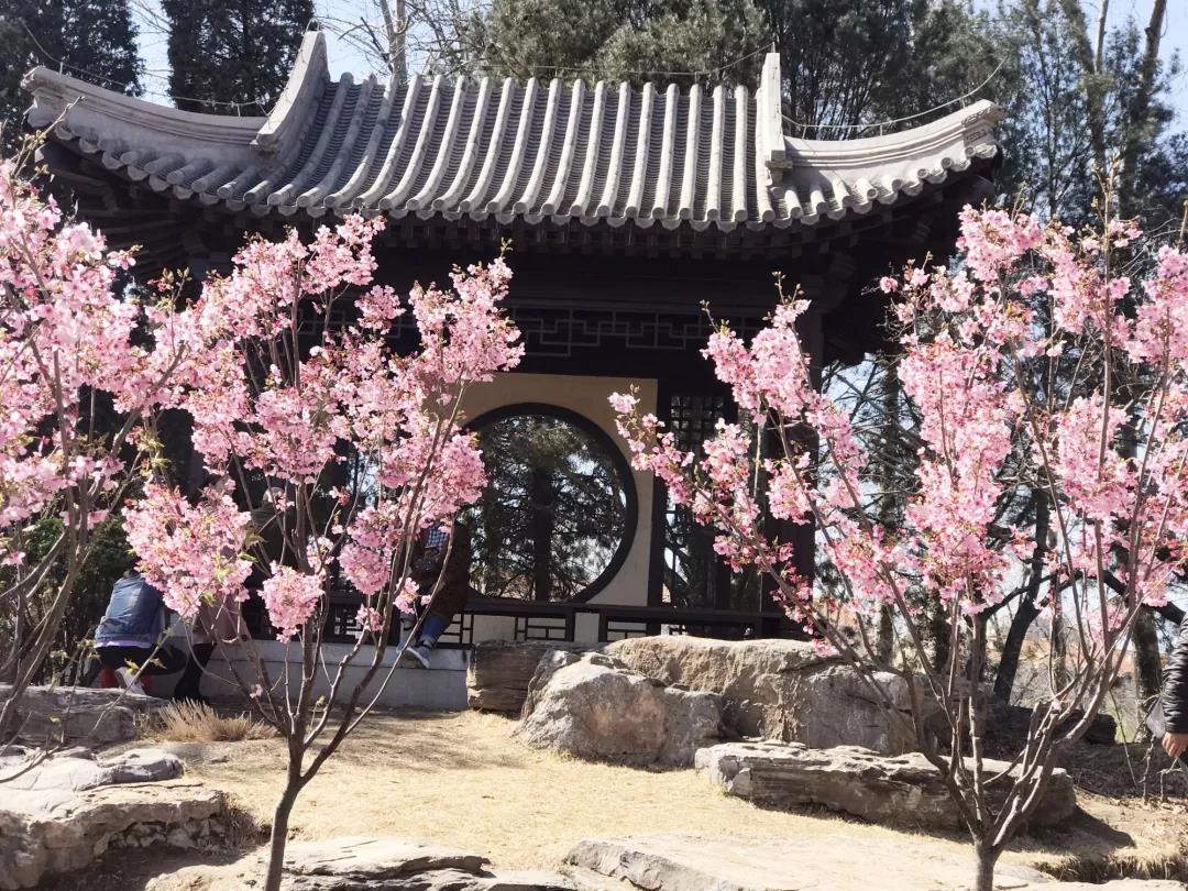 微信图片_20190322134315.jpg 微信图片_20190322134315.jpg