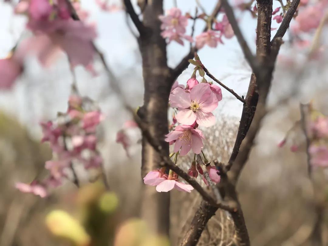 微信图片_20190322134405.jpg 微信图片_20190322134405.jpg