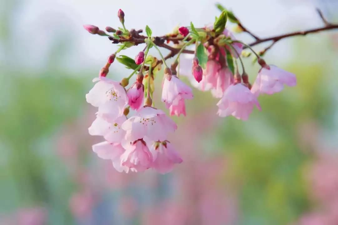 微信图片_20190322134732.jpg 微信图片_20190322134732.jpg